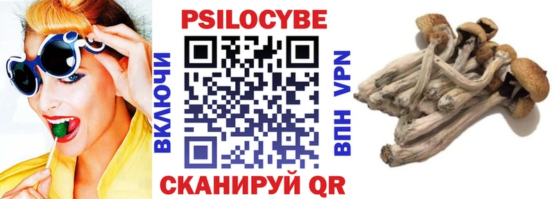 Псилоцибиновые грибы GOLDEN TEACHER  Оха 